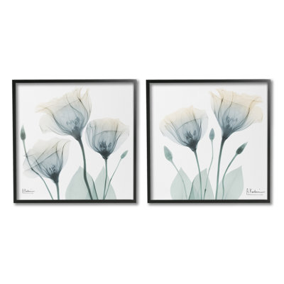 "Cadre de photo tulipe opaque en herbe" par Albert Koetsier, 2 pièces sur toile