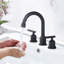 Mounting / Installation Required 2-handle Bathroom Faucet with Drain Assembly-61572300