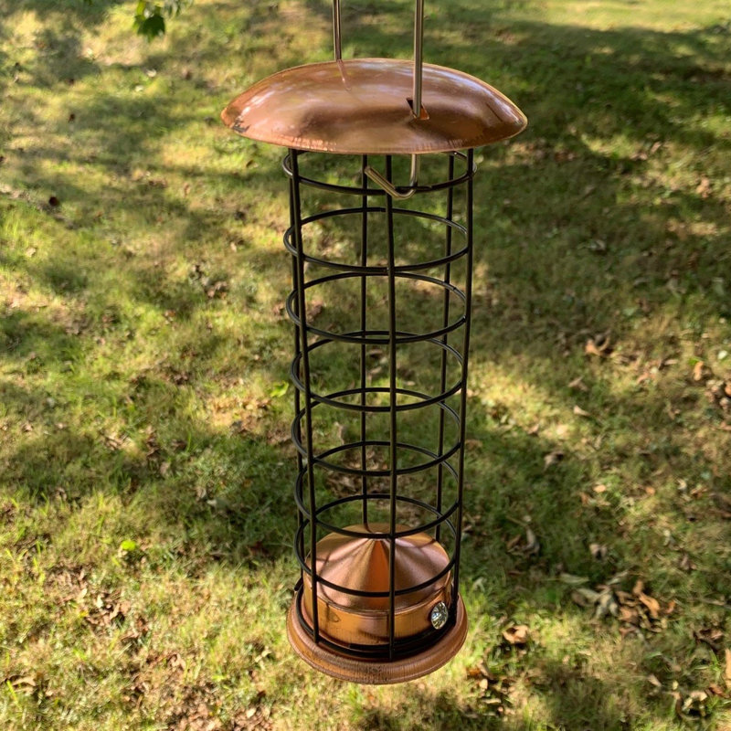 Fasching Suet Bird Feeder