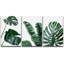 Minimal Botanical Vibrant Green Monstera and Banana Leaf Trio Botanical-72966495-72966494-119390341