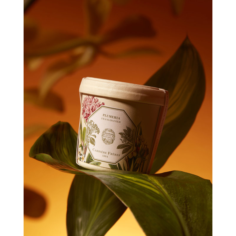 Frangipani Candle
