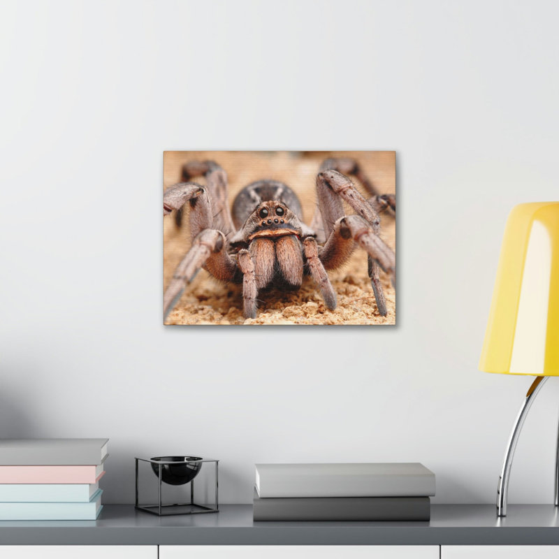 No Frame Print on Canvas, 27.94cm H x 35.56cm W