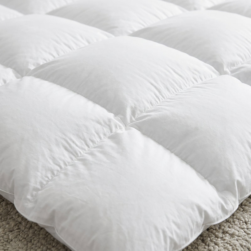 Édredon en duvet d'oie blanche hongrois avec coquillage en coton 700T, Twin
