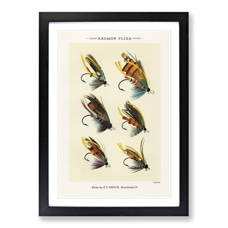 Salmon Fishing Flies Version 1 by Mary Orvis Marbury - Picture Frame Painting Print, 76cm H x 50cm W x 2cm D, Black
