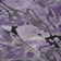 Premium Machine Washable Cerrito AMF558 Purple Rug