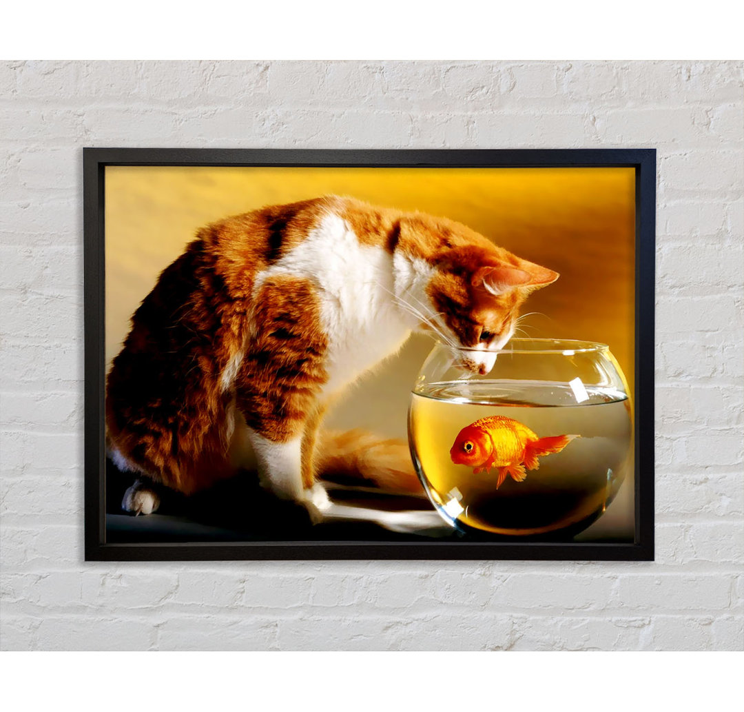 Cats Dinner Time - Einzelne Bilderrahmen Kunstdrucke auf Leinwand