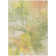 Abstract Indoor / Outdoor Rug