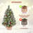Set of 2 Tabletop Christmas Trees-102491318