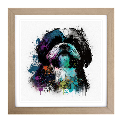 Shih Tzu Splatter Framed Print