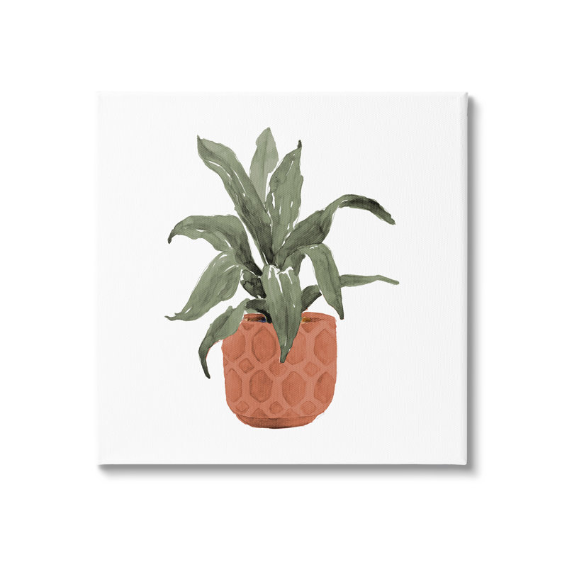 «Simple House Plant Green Leaves» en terre cuite par Lanie Loreth - impression, Toile tendue, H 24 po x l 24 po x P 1,5 po