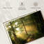 Alvord Forest Road - soleil-107718327
