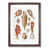 Walnut Framed selected