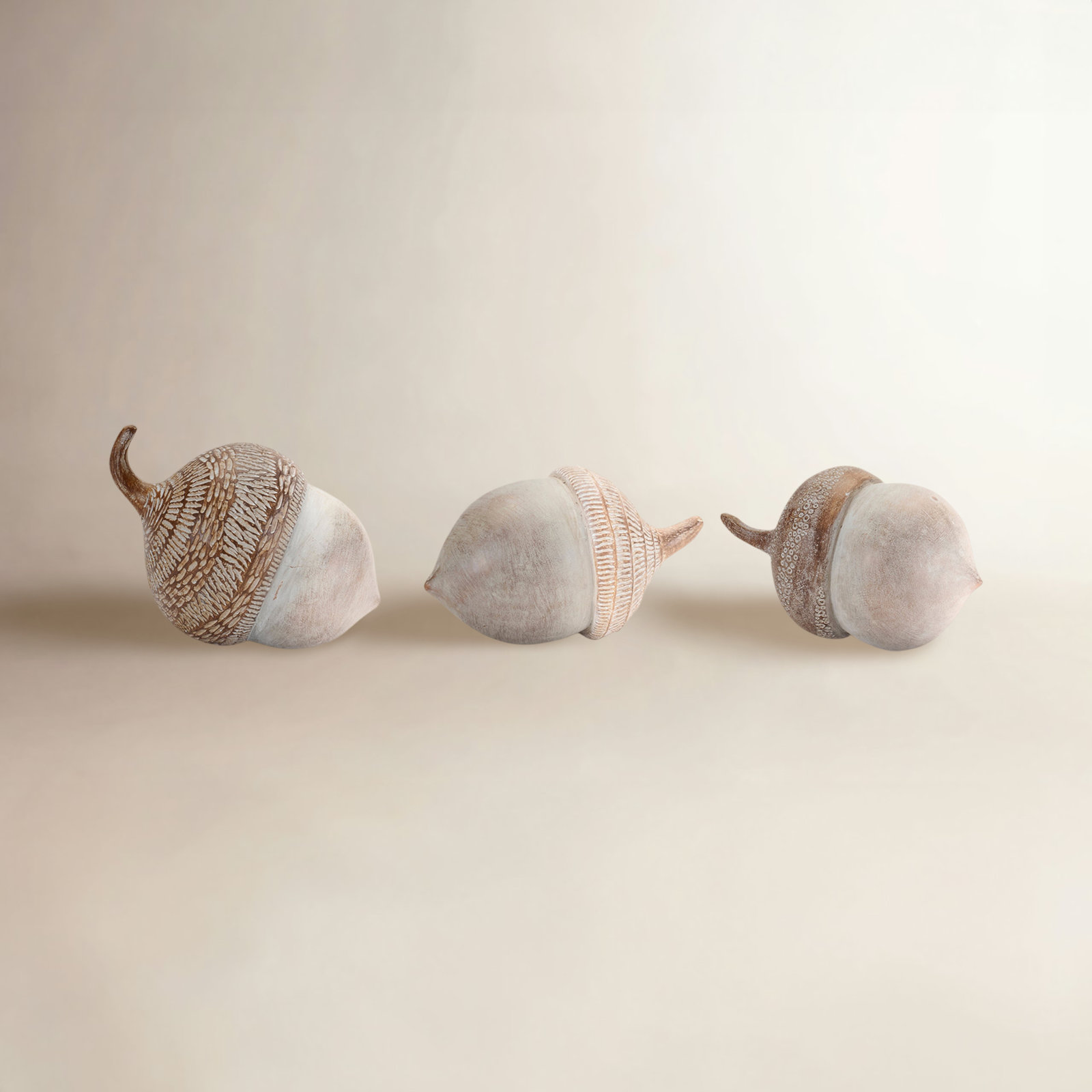 White Washed Etched Acorn 