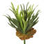 13'' Faux Plant