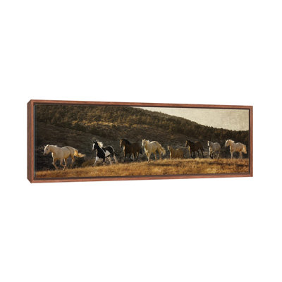Coming Around the Mountian 1 Piece Floater Frame Panoramic Wall Art on Canvas