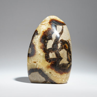 Polished Septarian Freeform from Madagascar (1.85 Lbs)
