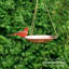 Bain d'oiseaux Gaoussou