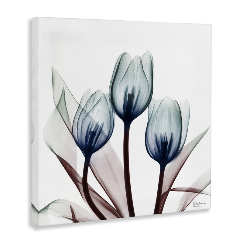 Chic Blue Translucent Tulips Canvas, design by Albert Koetsier, 17" H x 17" W