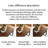 Multi-functional Rectangular Solid Wood Desk-1011730330