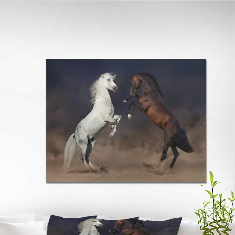 « horse combat en désert », reproduction de photo sur toile tendue, H 30 po x l 40 po x P 1,5 po