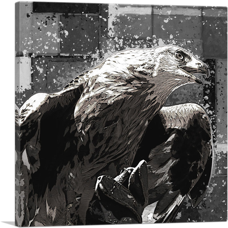 Reproduction d'art sur toile tendue Golden Eagle of Albania, H 26 po x l 26 po x P 1,5 po