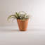 Pot de fleurs en terre cuite Edge