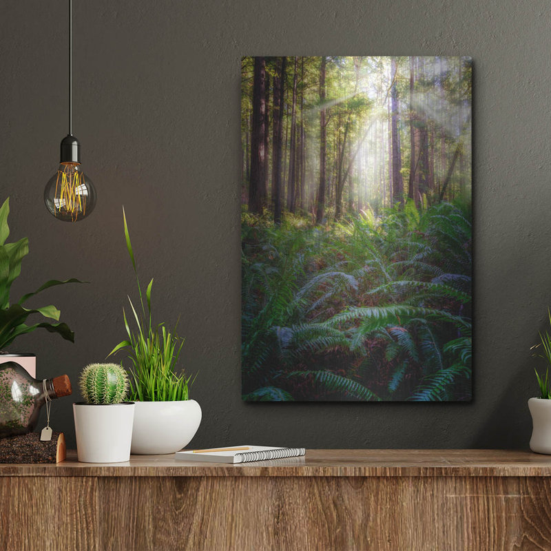 «Oregon Redwoods» par Rick Berk, art mural en métal, H 16 po x l 12 po