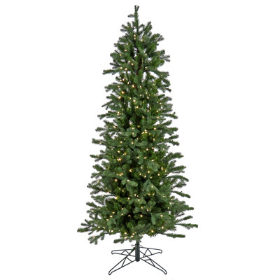 Lighted Christmas Tree