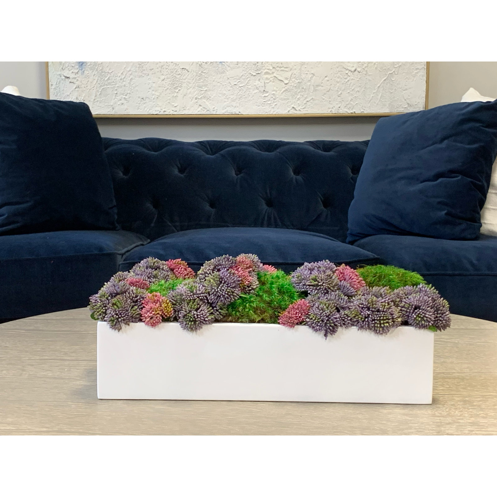 Sedum Floral Arrangement in White Planter, Rectangular, 7" H x 17" W x 6" D