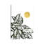 «Calas II» par Bria Nicole, impression sur toile tendue-55903181