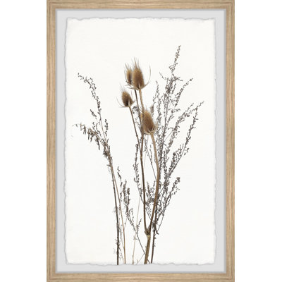 Jalian Brown Foliage by Marmont Hill - Single Picture Frame Painting Set