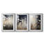 FLORAL Series CDI - Impression sur mesure encadrée de qualité supérieure - 3 pièces-1231686678-1231686672