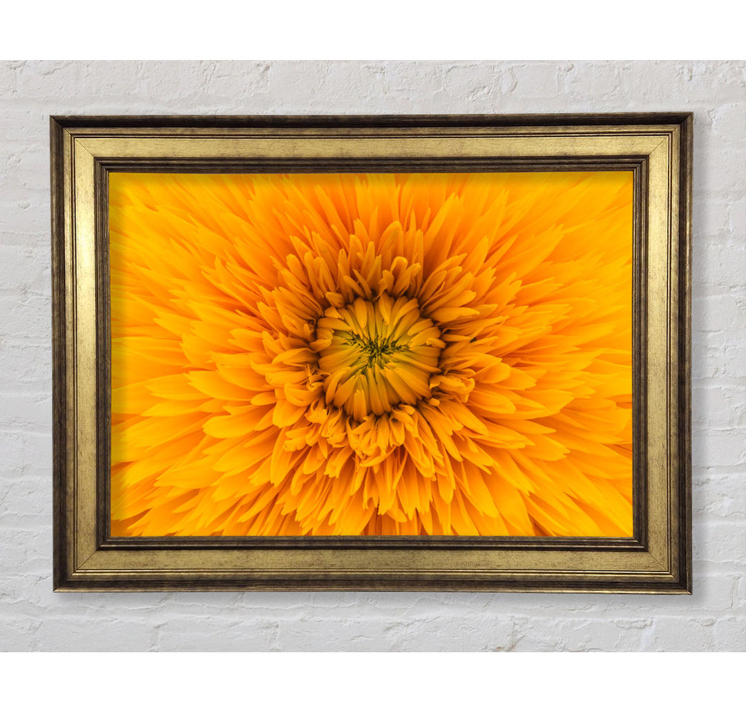 Gorgeous Yellow Flower Delight - Einzelner Bilderrahmen Kunstdrucke