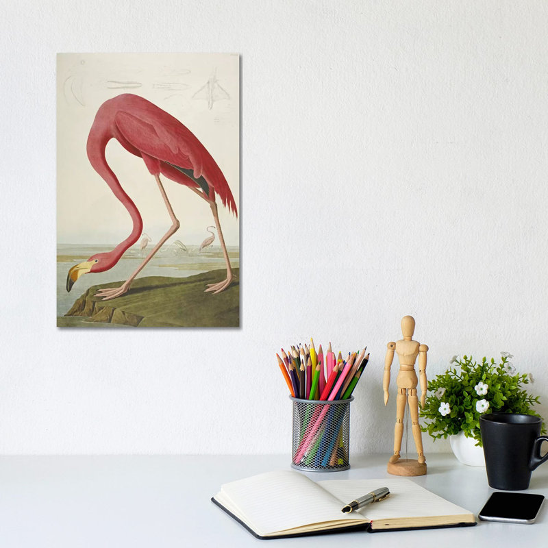 Flamant américain - giclée sur toile tendue avec châssis