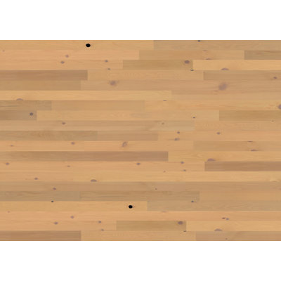 Planches murales en bois Timberchic Pine