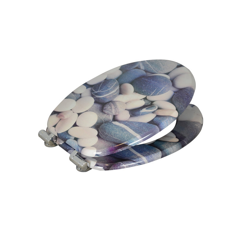 Soft Close Elongated Toilet Seat