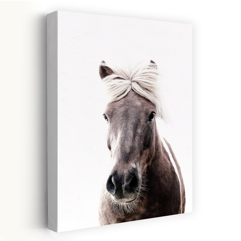 Islande, cheval, Lucy, élégant cheval minimaliste pacifique, art mural
