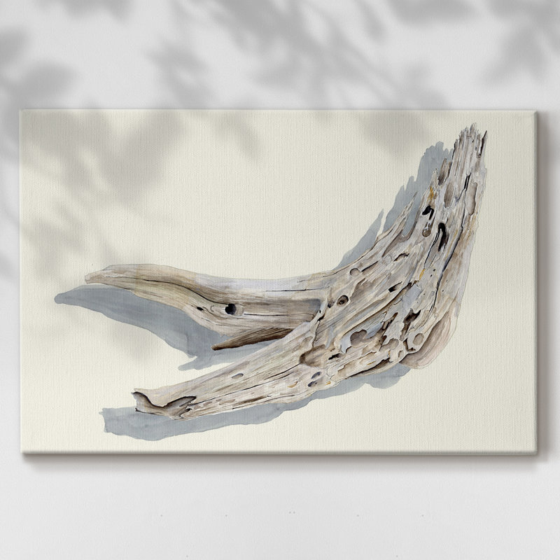 Driftwood Study III -Gallery Wrapped Cavas, 24X36