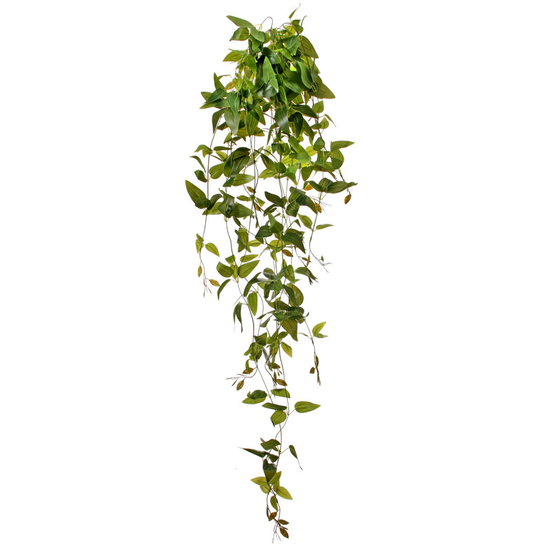 41 "plante à feuillage artificiel