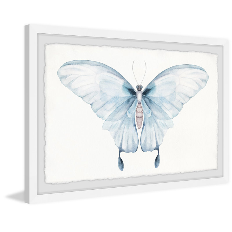 Butterfly Beauty - Single Picture Frame Painting, 41cm H x 61cm W x 3.81cm D