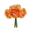 Tiges de pivoines-1443977853