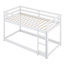 Floor Bunk Bed With Ladder-160469321