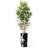 Artificial Tree in Contemporary Geometric Pattern Planter Fake Bamboo Silk Tree Plant Pot Plus Tree-103592541