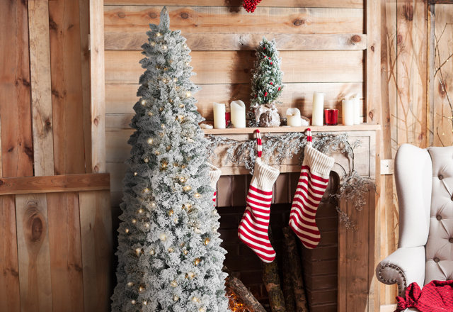 Must-Have Christmas Trees