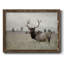 Grand élan, reproduction d'art sur toile-1846049379-1846049389