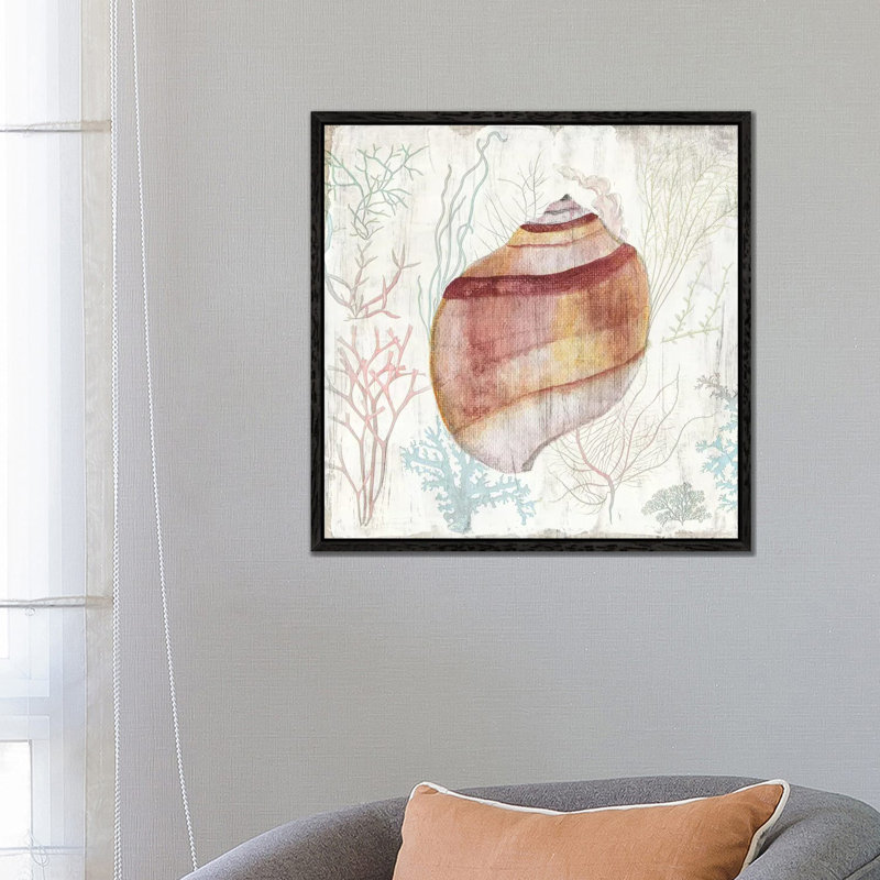 Coral And Shell II by Tava Studios - Gallery-Wrapped Canvas Giclée on Canvas, Black Framed, 66.04 cm H x 66.04 cm W