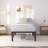 Alwyn Home Bed Frame No Box Spring Need 16 Inch Heavy Duty Tall Platform Bed Frame-2026704413