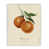 Coastal White Framed Giclee