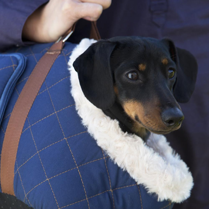 Wilton Pet Carrier, Blue