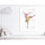 Ballet toute la journée 3-48187467-48187466